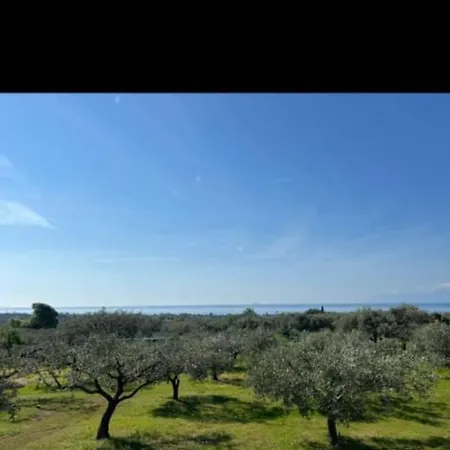 Ulivi E Mare Holiday home *