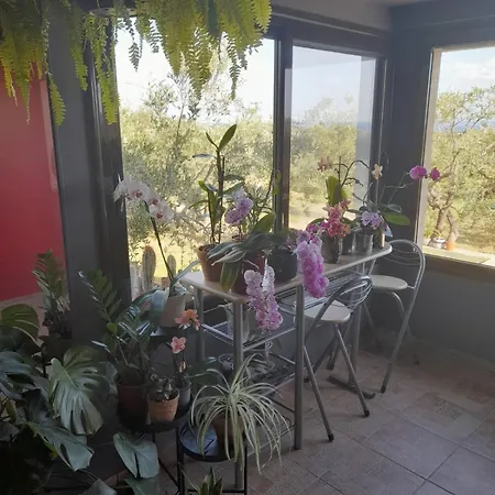 Tatil Evi Ulivi E Mare