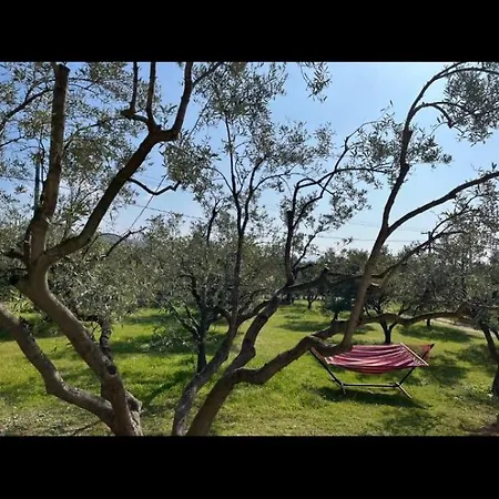 Ulivi E Mare Nyaraló