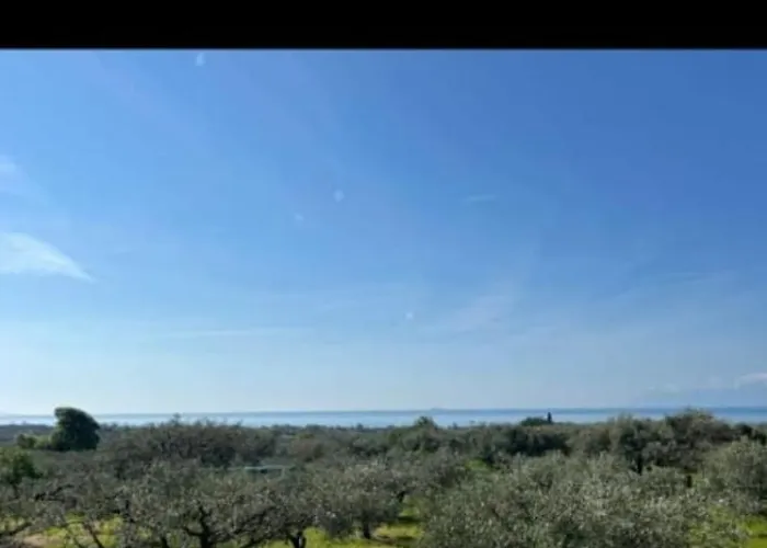 Ulivi E Mare Holiday home *