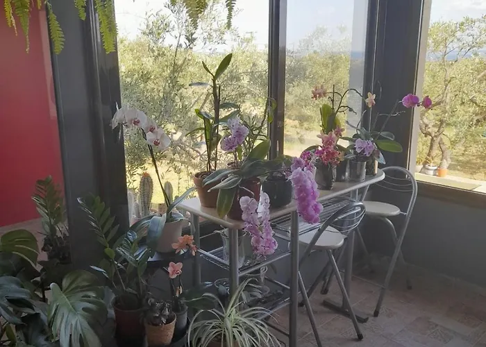 Holiday home Ulivi E Mare