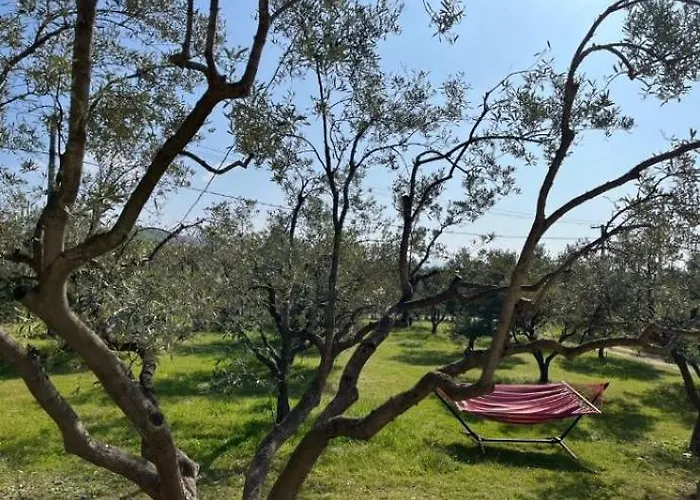 Ulivi E Mare Holiday home